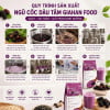 Ngũ Cốc Dâu Tằm