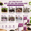Ngũ Cốc Dâu Tằm